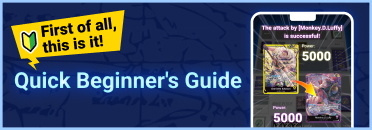 Quick Beginner's Guide